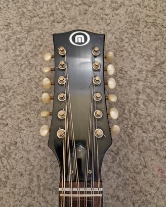 Chitarra 12 corde Melody