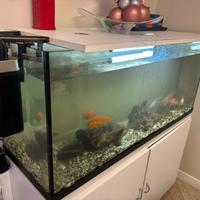 Acquario più mobile