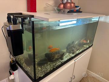 Acquario più mobile