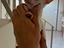 Immagine 3