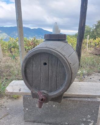 Botte per vino
