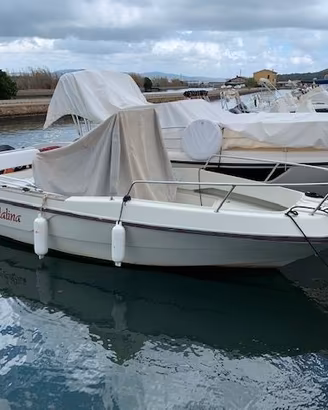 BARCA ELAN 570 MERCURY 115 2020