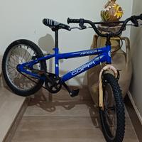 Bici da 20