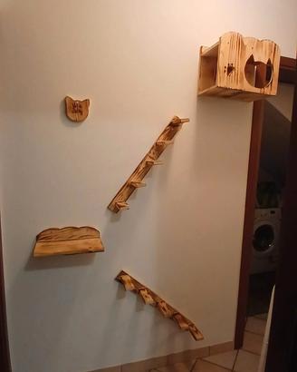 percorsi per gatti 