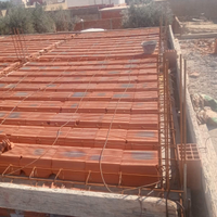 Operaio edile o gwnerico