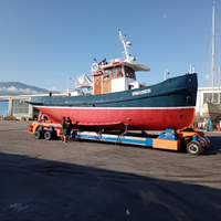 Rimorchiatore da diporto