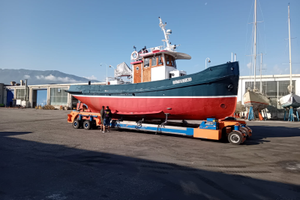 Rimorchiatore da diporto