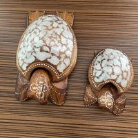 2 Portacenere tartaruga