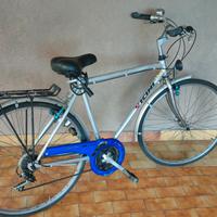 bicicletta Vicini