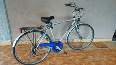 bicicletta Vicini