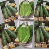 Semi piante di ortaggi Lattuga e Zucchini