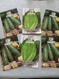 Semi piante di ortaggi Lattuga e Zucchini
