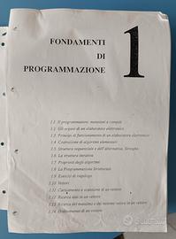 Fondamenti di programmazione - Calcolo numerico