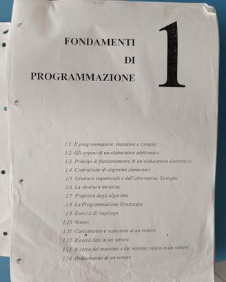Fondamenti di programmazione - Calcolo numerico