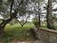 Immagine 25
