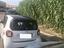 Immagine 2