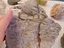 Immagine 3