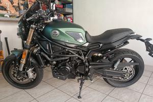 benelli 800