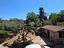 Immagine 26