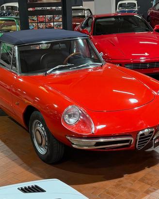 ALFA ROMEO Spider Osso di Seppia 1750 Veloce