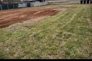 Terreno agricolo torvaianica