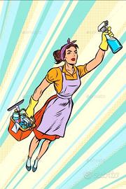 Pulizie appartamenti , uffici , case vacanza