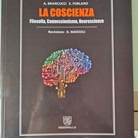 la coscienza,filosofia,connessionismo,Neuroscienze