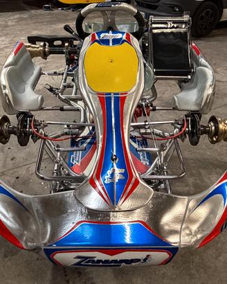 Stupendo telaio kart 125 KZ ZANARDI/CRG