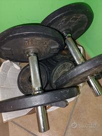 Set manubri Palestra