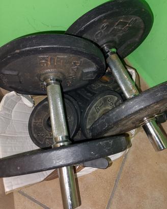 Set manubri Palestra