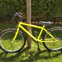 Mountain bike da bambino 24.