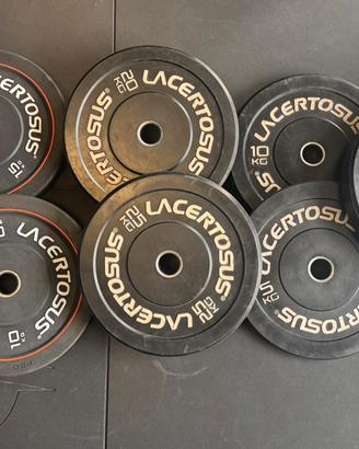 Set completo 210 kg Bumper PRO Lacertosus