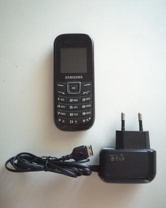 Cellulare Samsung 