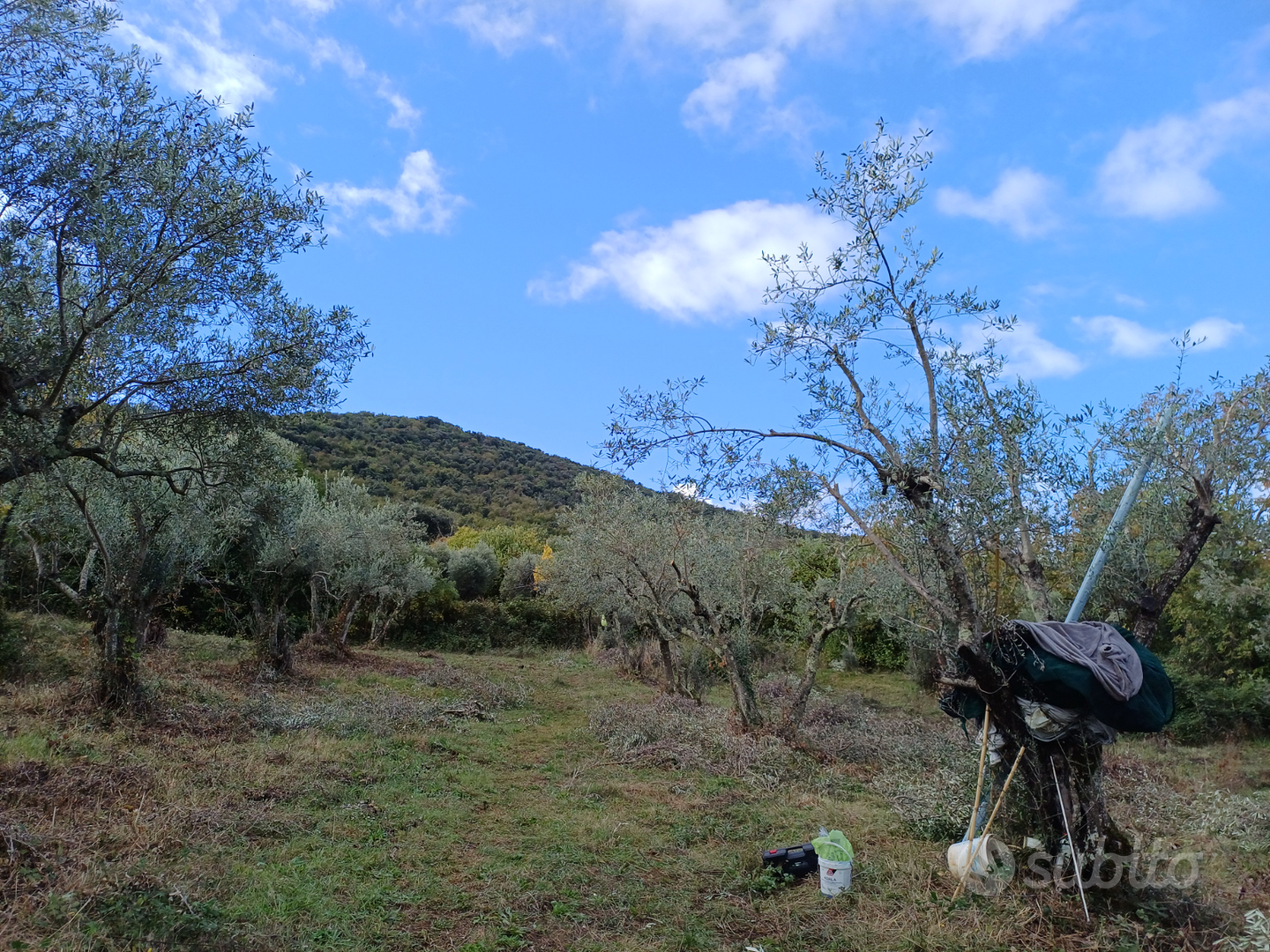 Terreno agricolo 8500mq - Vista 4