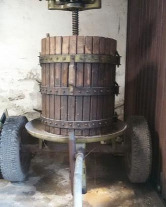 Torchio