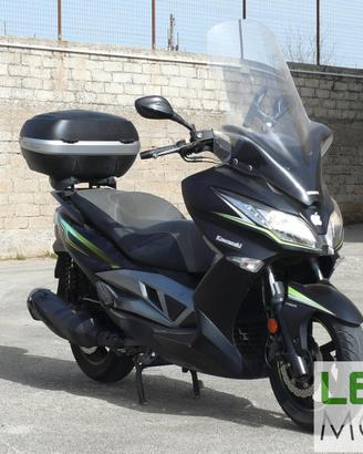 Kawasaki J300 (M1510)