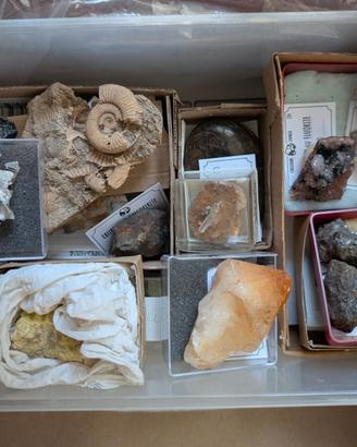 Minerali e fossili