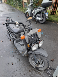 Honda Zoomer a Monza