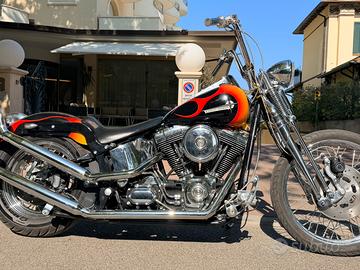 Harley Springer