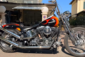 Harley Springer
