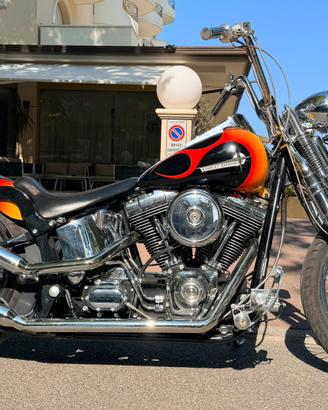 Harley Springer