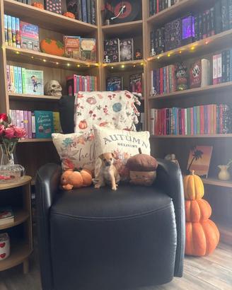 Chihuahua