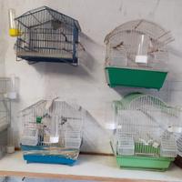 Voliera, gabbie e accessori