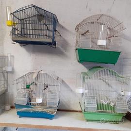 Voliera, gabbie e accessori