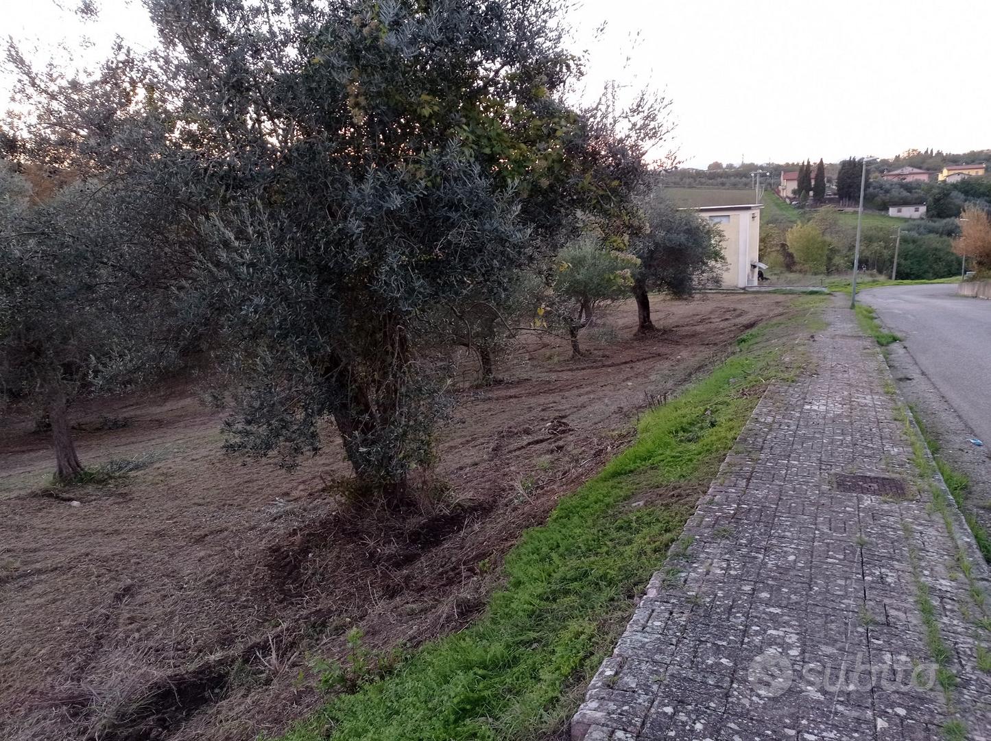 Terreno 5000 mq - Vista 2