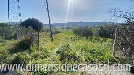 Rif.TA61-Terreno agricolo Caltanissetta - Vista 4