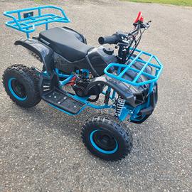 Miniquad 50cc per bambini,Motore 2T