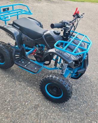 Miniquad 50cc per bambini,Motore 2T