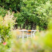 Casa vacanze con giardino Arenzano mare Liguria