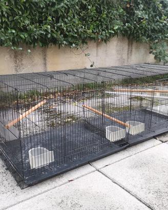 Gabbia da cova per uccelli con  accessori